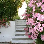 Aparthotel Skiathos Holidays &