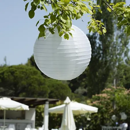 Skiathos Holidays & Aparthotel