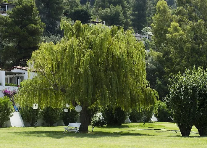 Skiathos Holidays & Aparthotel Vromolimnos