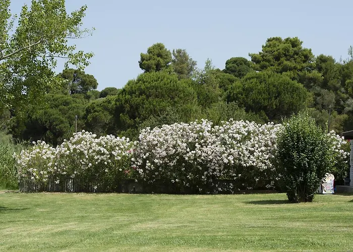 Skiathos Holidays & 4*