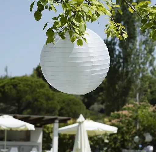 Skiathos Holidays & Aparthotel