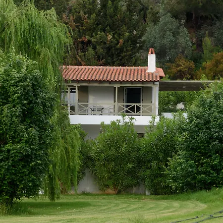 Skiathos Holidays & Aparthotel 4*