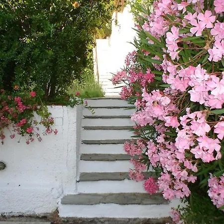 Apartmanhotel Skiathos Holidays &