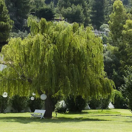 Skiathos Holidays & Apart Otel Vromolimnos