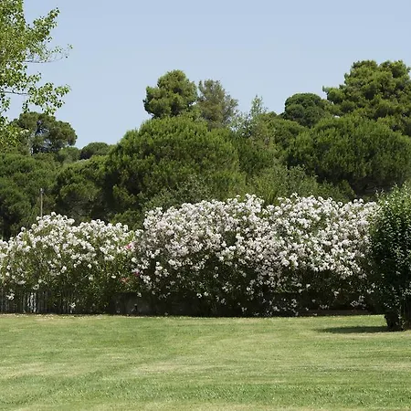 Skiathos Holidays & 4*