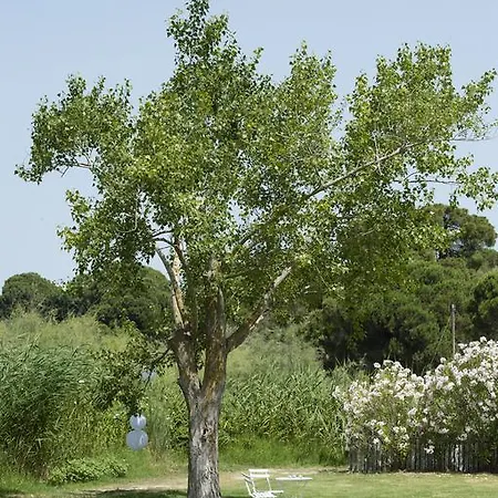 Skiathos Holidays & 4* Vromolimnos