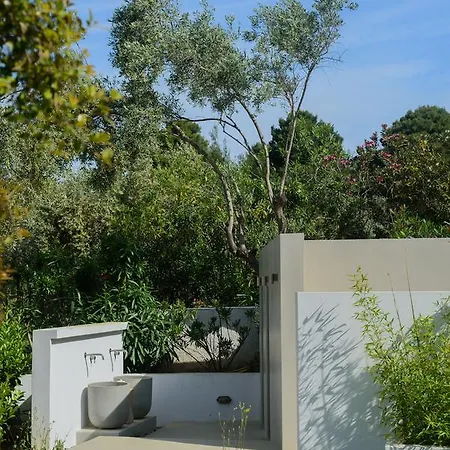 Skiathos Holidays &
