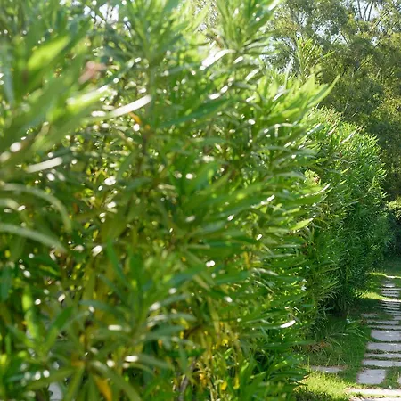 Apart Otel Skiathos Holidays & 4*