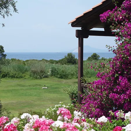 Skiathos Holidays & Ξενοδοχείο με διαμερίσματα Βρωμόλιμνος