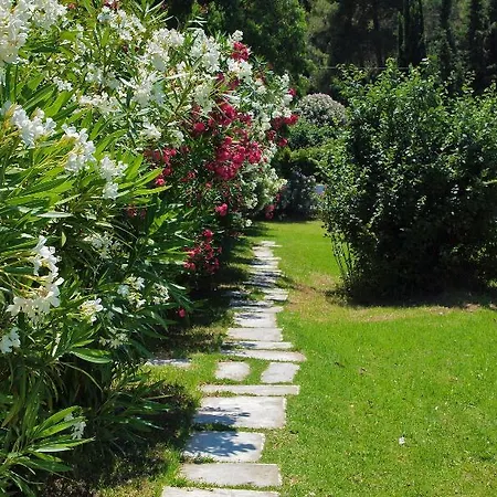 Skiathos Holidays & アパートホテル