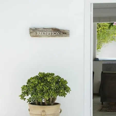 Skiathos Holidays & アパートホテル 4*