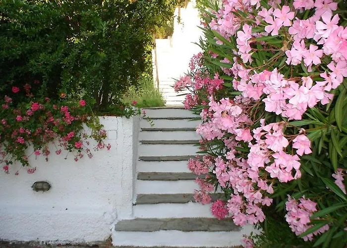 מלון דירות Skiathos Holidays &