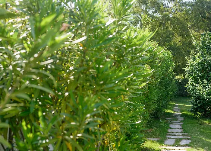 מלון דירות Skiathos Holidays & 4*